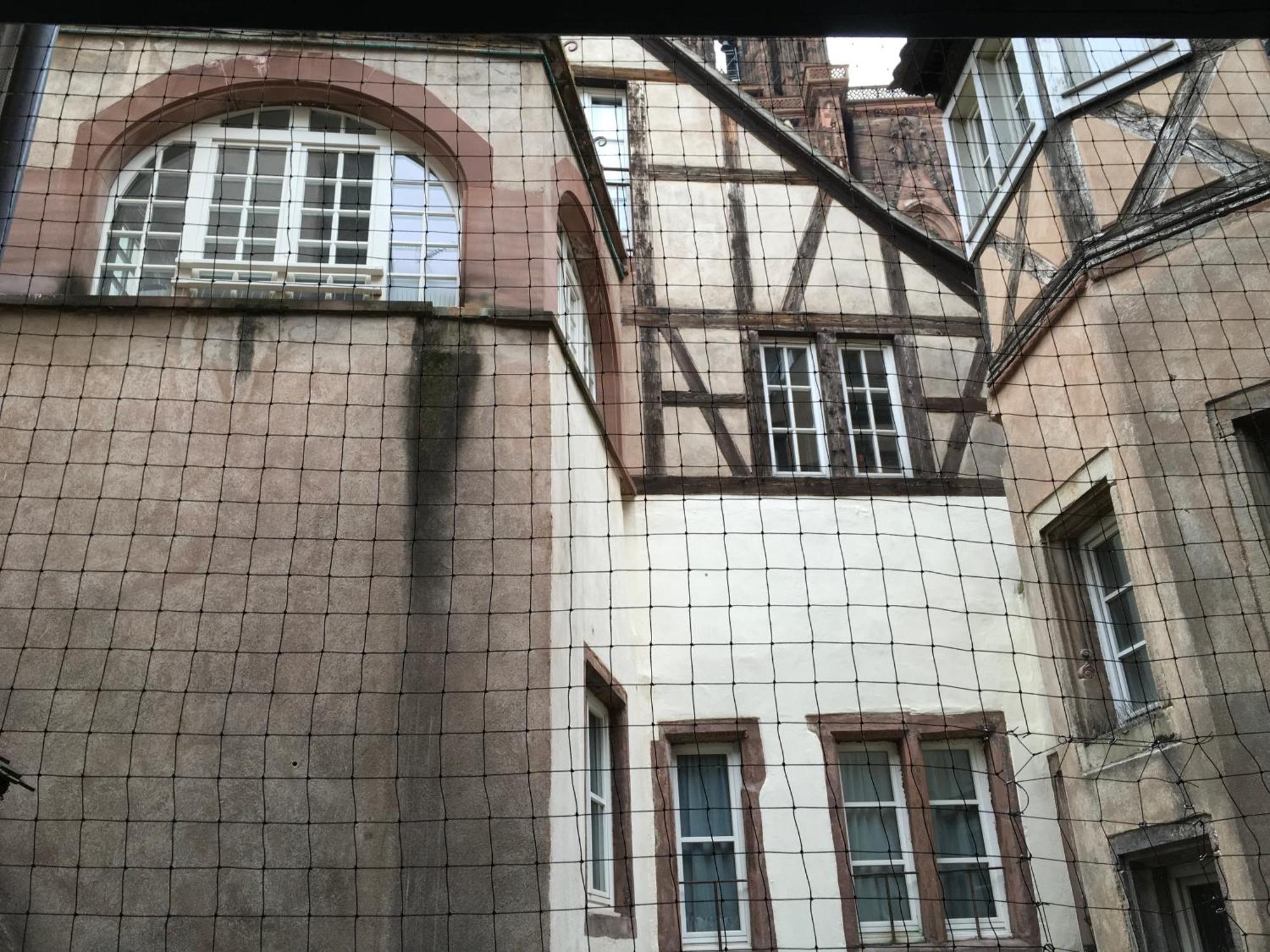Cathedrale Apartment Strasbourg Ngoại thất bức ảnh