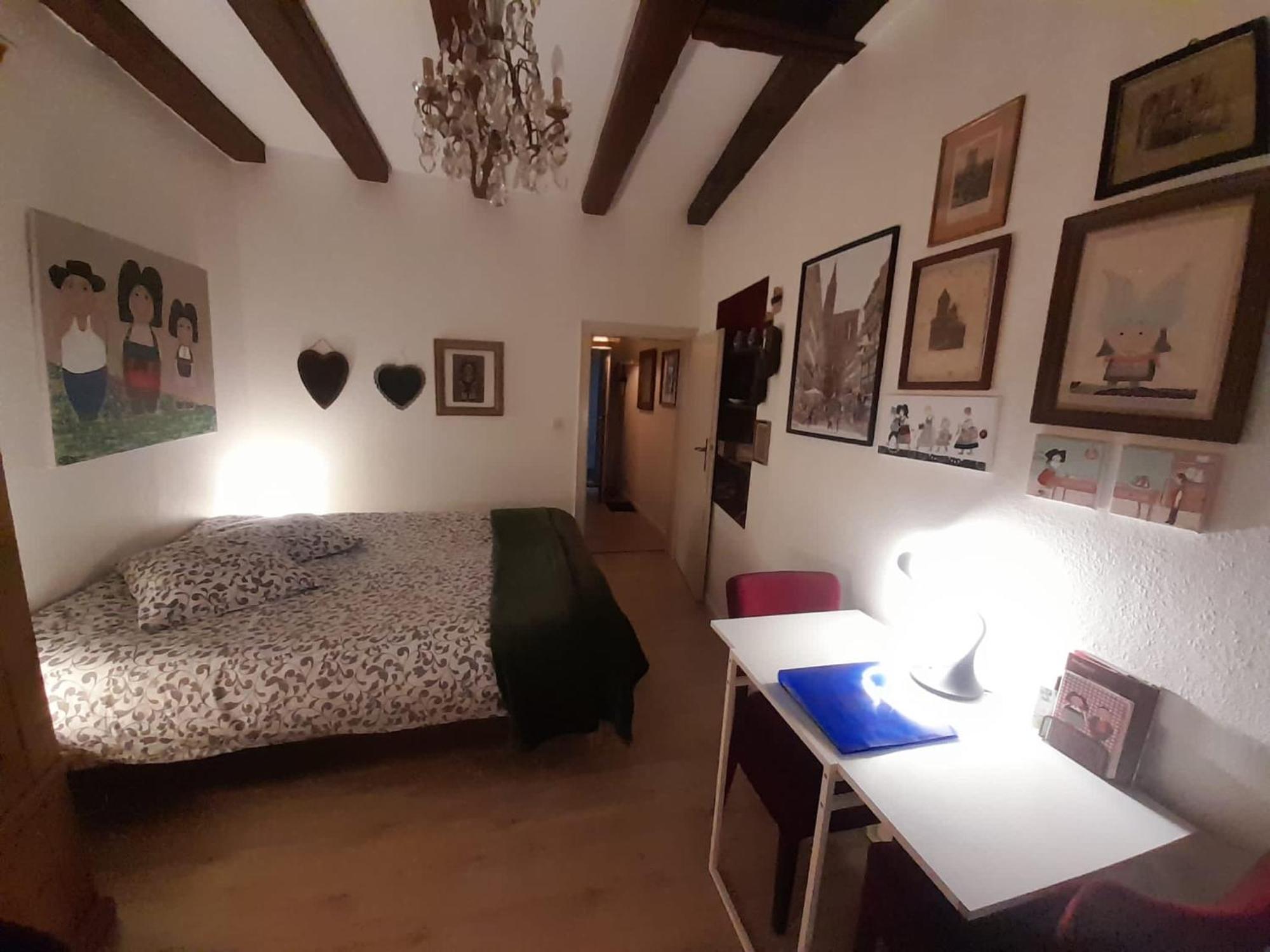 Cathedrale Apartment Strasbourg Ngoại thất bức ảnh